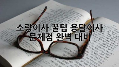 소량이사 꿀팁🍯 용달이사 문제점 완벽 대비! 📦